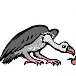 Grübelgeier und die Frühstückstomate Grübelgeier und die Frühstückstomate