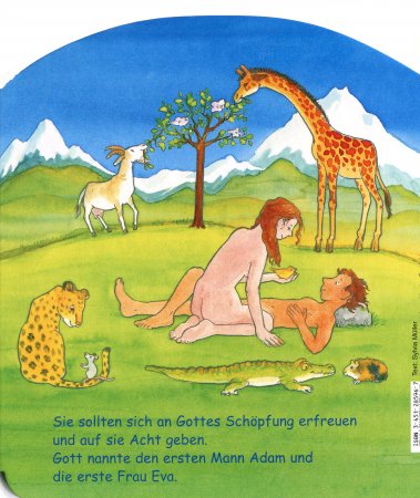 Ausschnitt 9